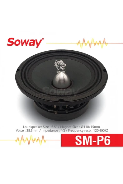 PTTAVM: EXVOL SOWAY SM-P6 16 CM KURŞUN GÖBEK MİDRANGE 300W 100RMS