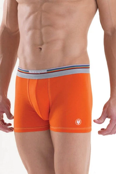 Blackspade 9550 Colours %95 Pamuklu Erkek Renkli Boxer ürün görseli 1
