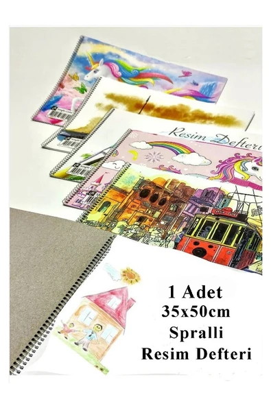 Resim Defteri 15 Yaprak 35x50 cm 1 Adet Spiralli Orta Boy Telli Resim Defteri Karton Kapak 110 gr Öğrenci Okul ürün görseli 1
