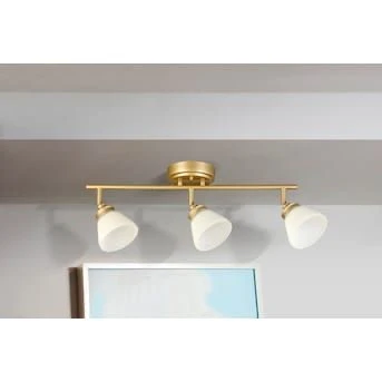 Rsylight Modern Eskitme Kaplama 180 Derece Hareketli Beyaz Opal Camlı Dekoratif Tavan Plofyoner Avize ürün görseli 1