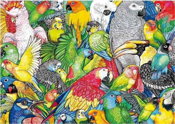 Educa 500 Parça Papağanlar / Parrots Puzzle - 19547 ürün görseli 1