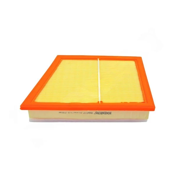 Rixenberg  BMV F48 X1 18D- 20D- 20Y- 25D- 25Y-228Y HAVA FILTRE RXA4117 13718513944 C22018 LX4060 ürün görseli 1