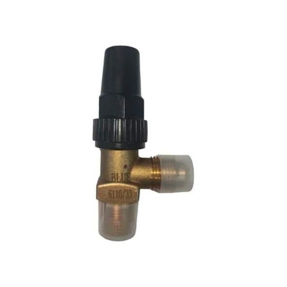 Blue BLR-6110/22 1/4''SAE-1/4''NPT Depo Vanası ürün görseli 1