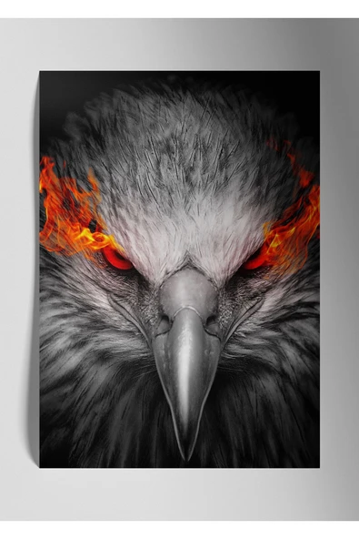 Kırmızı Göz Kartal - Metal Poster Tablo ürün görseli 1