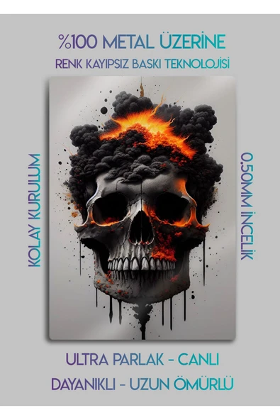 Fire Skull - Yanan Kurukafa - Metal Tablo - Resim 2