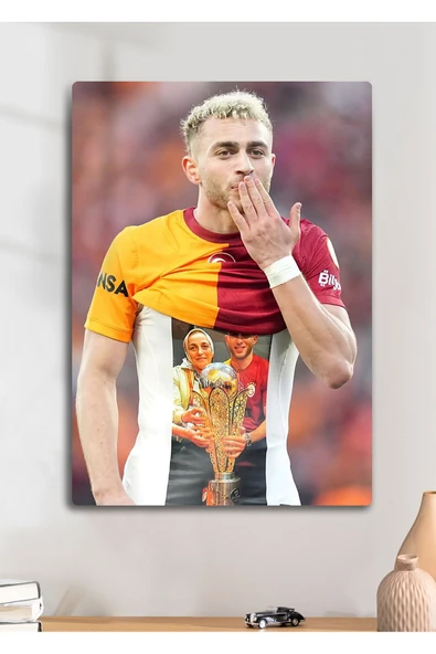 Barış Alper Yılmaz BAY - Metal Tablo ürün görseli 1