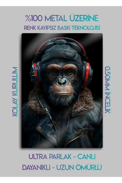 Maymun Stilist Monkey - Dekoratif Metal Tablo - Resim 2