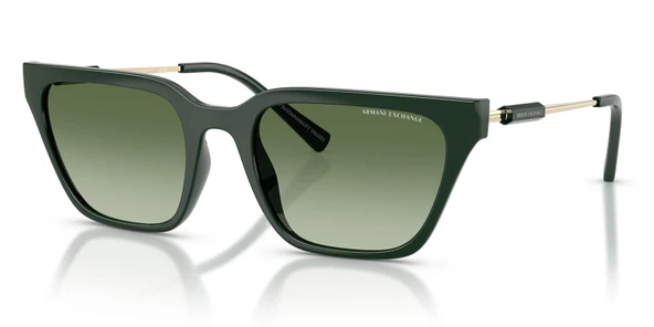 Armani Exchange AX4158S 83828E 55 Kadın Güneş Gözlüğü ürün görseli 1