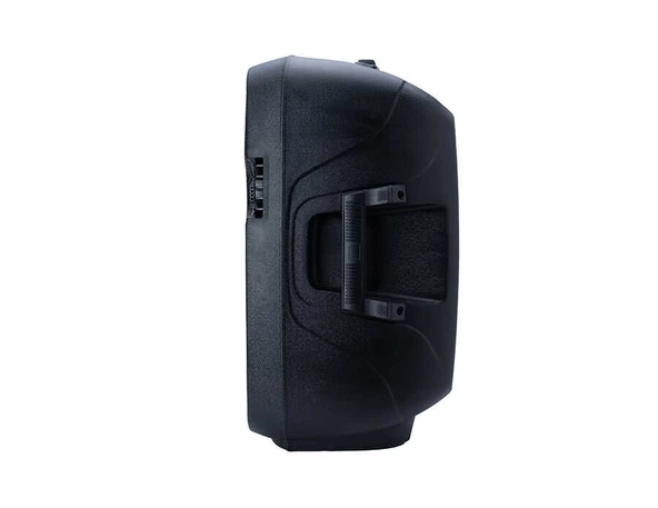 WESTA WSS-1012 - 12” Pasif Kabin Hoparlör - Resim 4