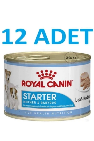 Royal Canin Starter Mousse Anne Ve Yavruları Için Köpek Konservesi 195 gr X 12 ADET ürün görseli 1