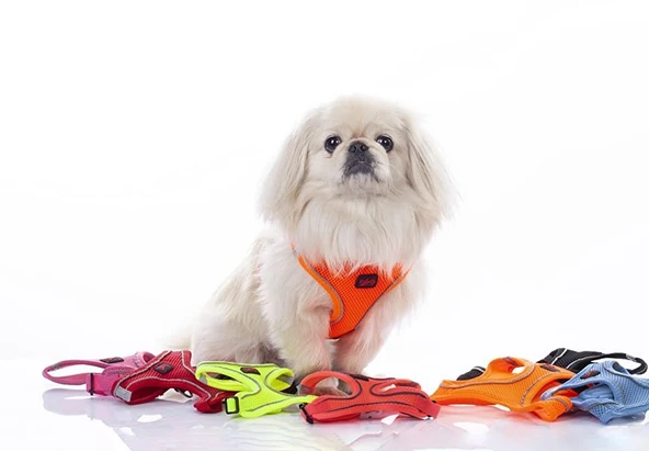 Tailpetz Air Mesh Harness Göğüs Tasması Emerald XSmall - Resim 3