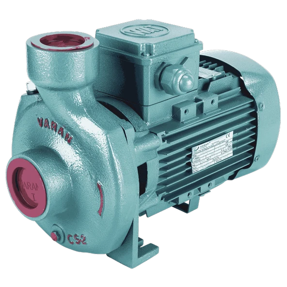 Varan CS 23 Tek Kademe Monoblok Santrifüj Pompa 3 HP / 2.2 kW, Trifaze 380 V, 28 Mss, 30 m3/h ürün görseli 1