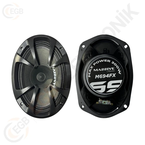 MASSİVE MS-M694FX 300W 6X9 OVAL MİDRANGE - Resim 2