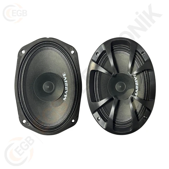 PTTAVM: MASSİVE MS-M694FX 300W 6X9 OVAL MİDRANGE