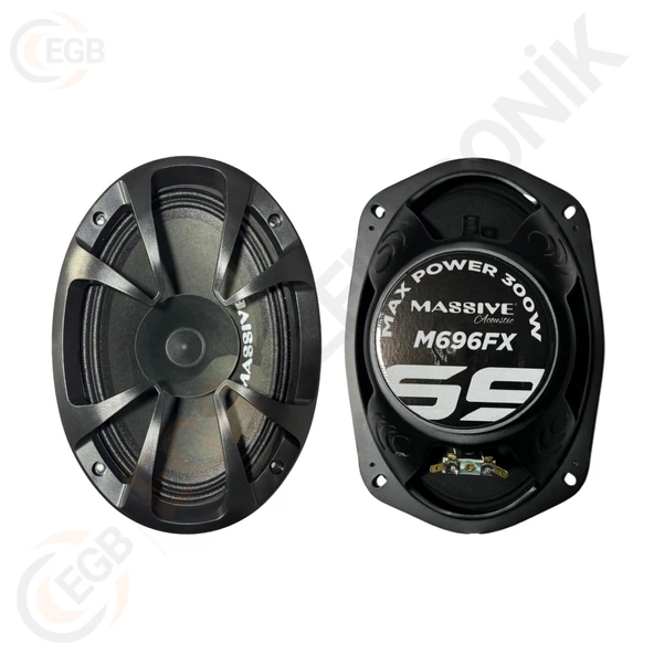 MASSİVE MS-M696FX 300W MİDRANGE OVAL ÇİFT - Resim 4