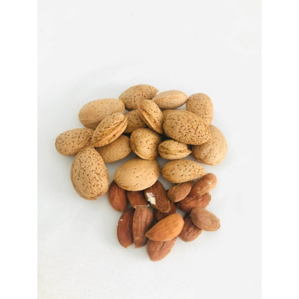 Organic Almond in shell 0,5 kg - Resim 3