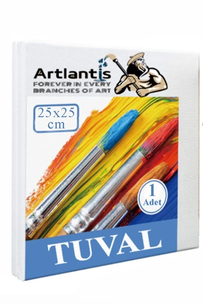 Tuval 25x25 cm Astarlı Kare Tuval 1 Adet Resim Küçük Tuvali 25*25 cm Tual Akrilik Boya Yağlı Boya İçin İdeal ürün görseli 1
