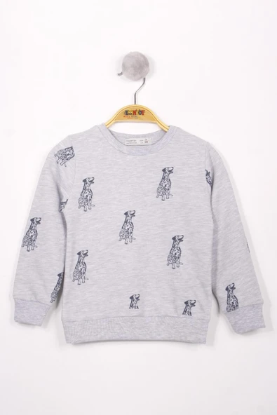 Toontoy Erkek Çocuk Relax Fit Bisiklet Yaka Baskılı Sweatshirt - 2 İplik ürün görseli 1
