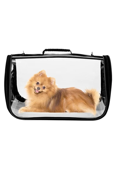 northern fashion Fly Bag Kedi Köpek Taşıma Çantası Kuş Taşıma Çantası Evcil Hayvan Taşıma Çantası ürün görseli 1