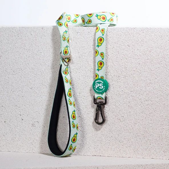 Pawstar Avocado Köpek Gezdirme Kayışı 120 cm x 2 cm ürün görseli 1