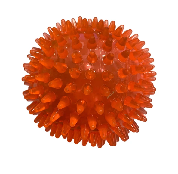 Nunbell Suda Batmaz Termoplastik Kirpi Top Köpek Oyuncağı 10 cm (1 Adet) ürün görseli 1