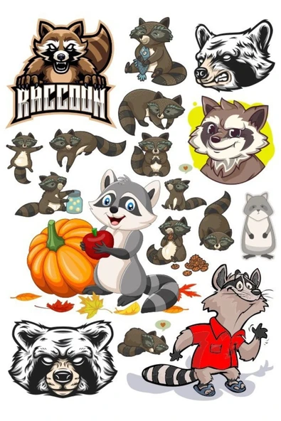 Racun Sticker Set-1 15 Parça Telefon, Tablet, Defter, Laptop Sticker ürün görseli 1