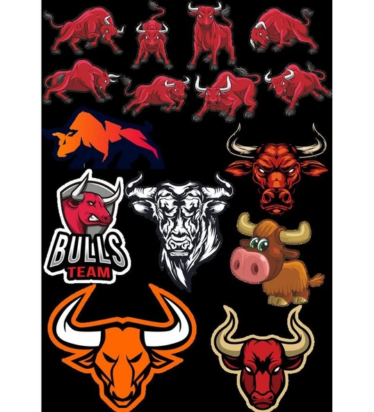 Boğa Sticker Set-1 15 Parça Telefon, Tablet, Defter, Laptop Sticker ürün görseli 1