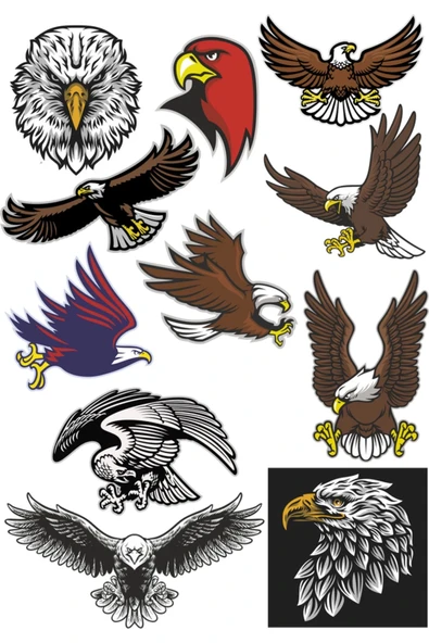 Kartal Sticker Set-1 11 Parça Telefon, Tablet, Defter, Laptop Sticker ürün görseli 1