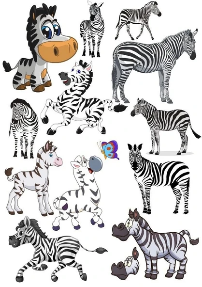 Zebra Sticker Set-1 13 Parça Telefon, Tablet, Defter, Laptop Sticker ürün görseli 1