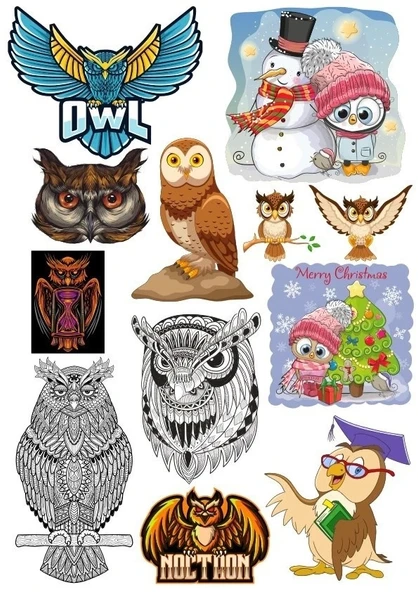 Baykuş Owl Sticker Set 11 Parça Telefon, Tablet, Defter, Laptop Sticker ürün görseli 1