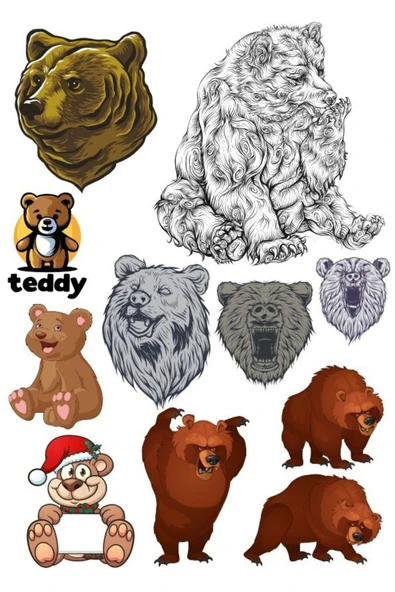 Ayı Sticker Set-5 10 Parça Telefon, Tablet, Defter, Laptop Sticker ürün görseli 1