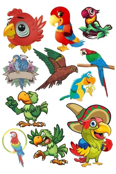 Papağan Sticker Set-1 12 Parça Telefon, Tablet, Defter, Laptop Sticker ürün görseli 1