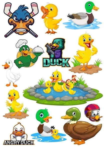 Ördek Temalı Sticker Set-1 13 Parça Telefon, Tablet, Defter, Laptop Sticker ürün görseli 1