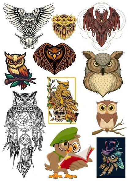 Baykuş Sticker Set-3 11 Parça Telefon, Tablet, Defter, Laptop Sticker ürün görseli 1