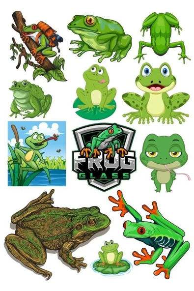 Kurbağa Sticker Set-1 12 Parça Telefon, Tablet, Defter, Laptop Sticker ürün görseli 1