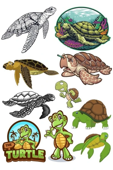 Kaplumbağa Sticker Set-1 10 Parça Telefon, Tablet, Defter, Laptop Sticker ürün görseli 1