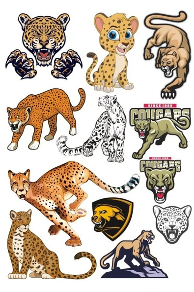 Leopar Sticker Set-3 13 Parça Telefon, Tablet, Defter, Laptop Sticker ürün görseli 1