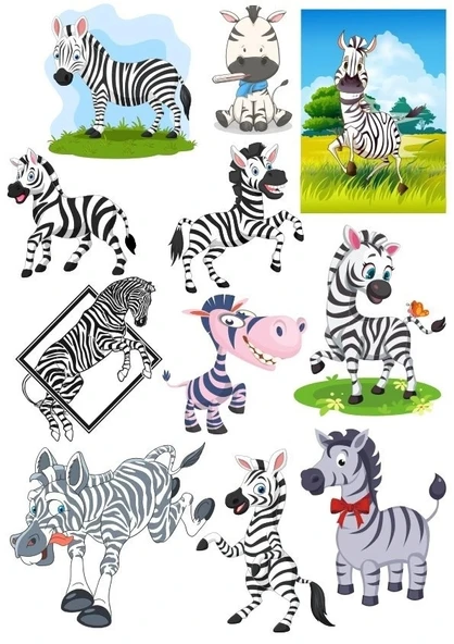 Zebra Sticker Set-2 12 Parça Telefon, Tablet, Defter, Laptop Sticker ürün görseli 1