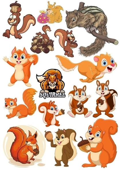 Sincap Sticker Set-1 16 Parça Telefon, Tablet, Defter, Laptop Sticker ürün görseli 1