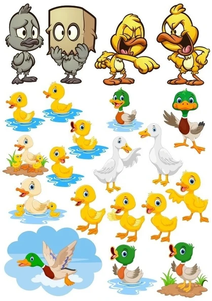 Ördek Temalı Sticker Set-2 18 Parça Telefon, Tablet, Defter, Laptop Sticker ürün görseli 1
