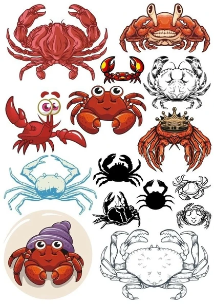 Yengeç Sticker Set-2 13 Parça Telefon, Tablet, Defter, Laptop Sticker ürün görseli 1