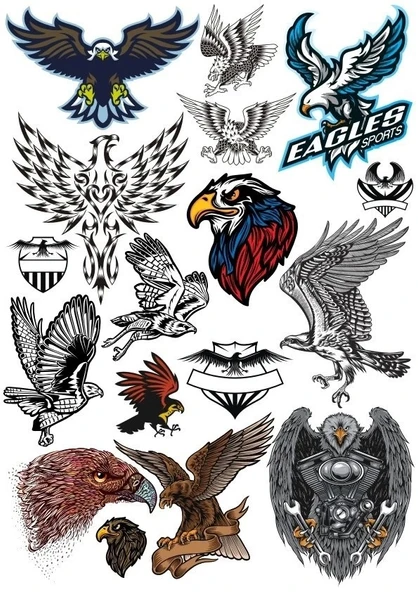 Kartal Eagle Sticker Set-10 15 Parça Telefon, Tablet, Defter, Laptop Sticker ürün görseli 1