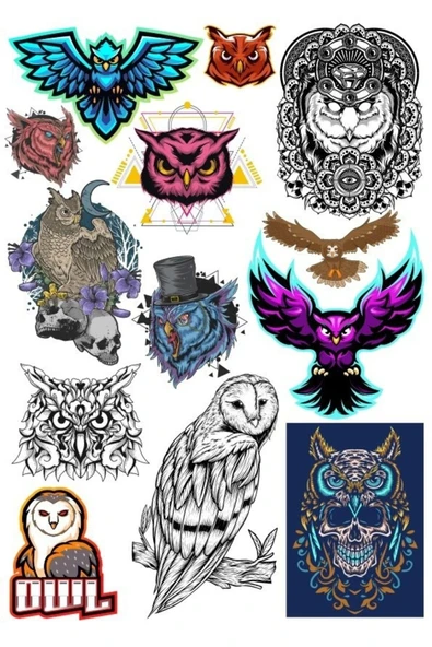 Baykuş Sticker Set-4 13 Parça Telefon, Tablet, Defter, Laptop Sticker ürün görseli 1