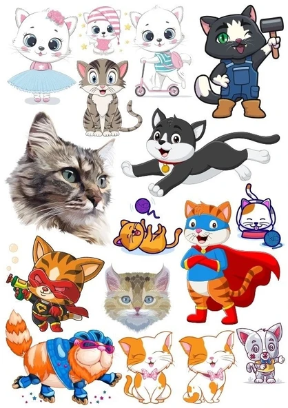 Kediler Sticker Set-8 19 Parça Telefon, Tablet, Defter, Laptop Sticker ürün görseli 1
