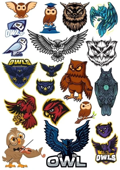 Baykuş OWL Sticker Set-12 20 Parça Telefon, Tablet, Defter, Laptop Sticker ürün görseli 1