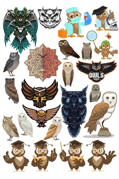 Baykuş OWL Sticker Set-16 16 Parça Telefon, Tablet, Defter, Laptop Sticker ürün görseli 1
