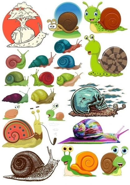 Salyangoz Sticker Set 5 20 Parça Telefon, Tablet, Defter, Laptop Sticker ürün görseli 1