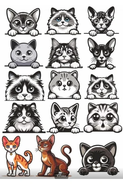 Siyah Beyaz Kediler Sticker Set 2 ürün görseli 1