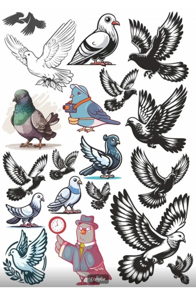 Güvercin Sticker Set 2 ürün görseli 1
