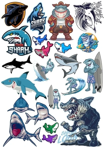 Köpek Balığı Sticker Set 2 16 Parça Telefon, Tablet, Defter, Laptop Sticker ürün görseli 1